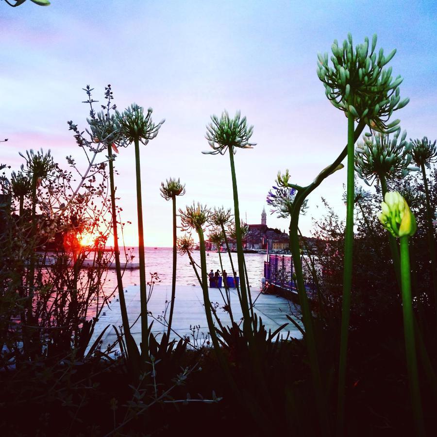 Casa Valeluna Rovinj Bagian luar foto
